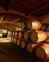 Tenuta Biologica Bulichella, barrique room.webp