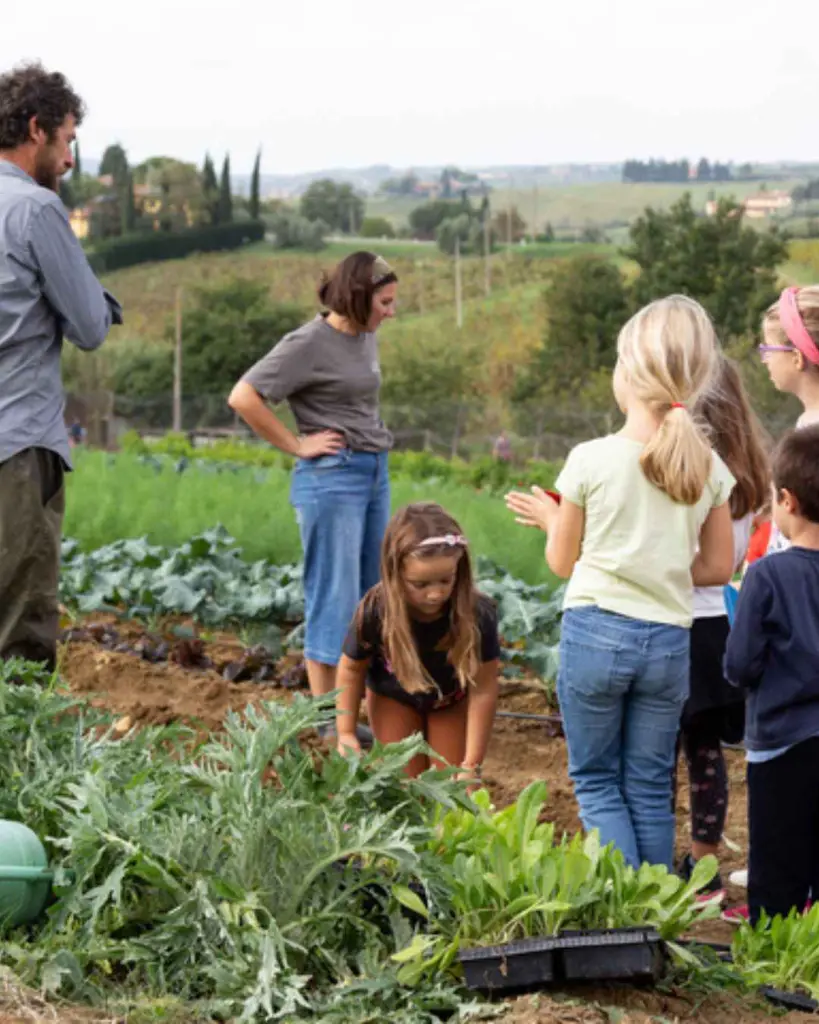 Fattoria San Michele farm experience.webp