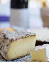 Bodegas Torre Del Veguer, wine and cheese pairing.webp