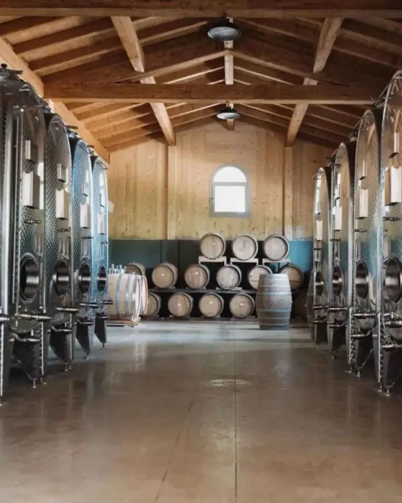 Belmonte experience wine cellar.webp