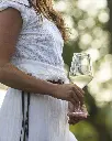 Le Manzane, white wine tasting.webp
