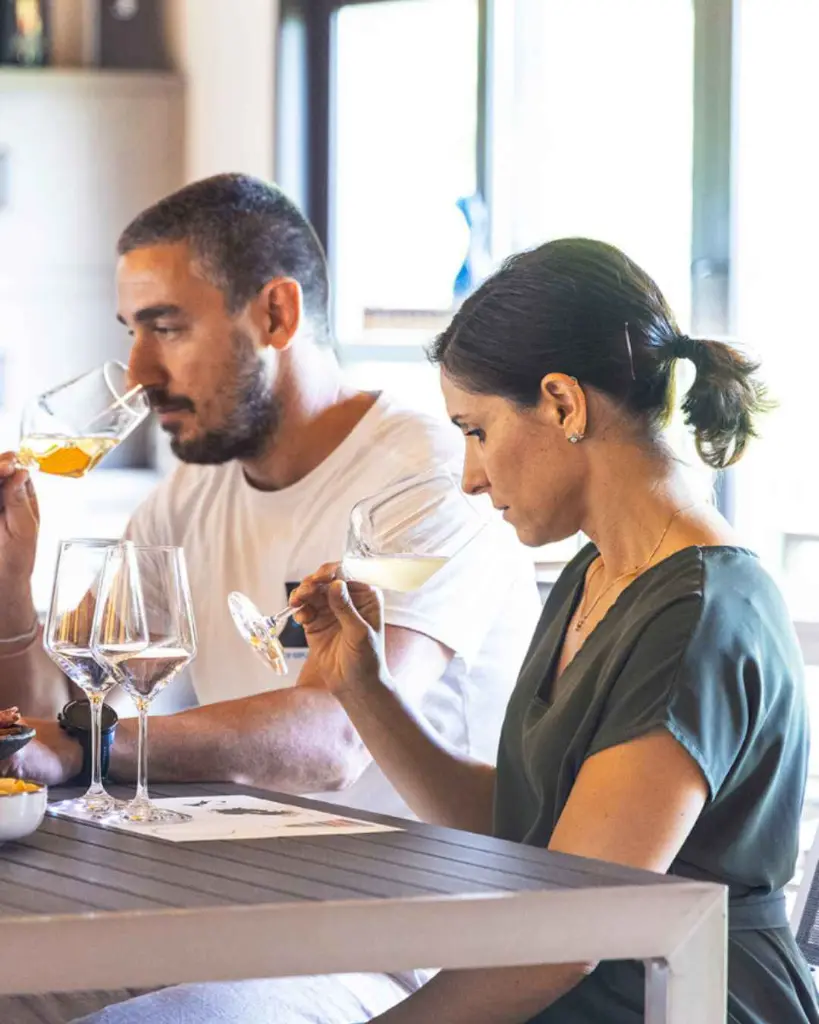 Le Manzane, tasting of 3 wines.webp