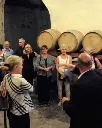 Tenuta La Gatta wine cellar tour.webp