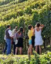 Tenuta La Gatta Vineyard tour.webp