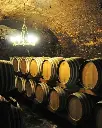 Tenuta La Gatta Lombardy wine cellar.webp