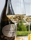 Conte Vistarino sparkling wine tasting.webp