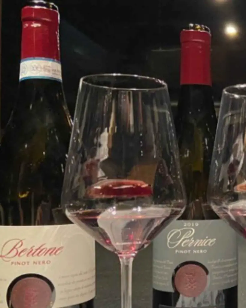 pinot noir.webp