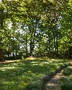 Rechsteiner Winery, Rechsteiner Park.webp