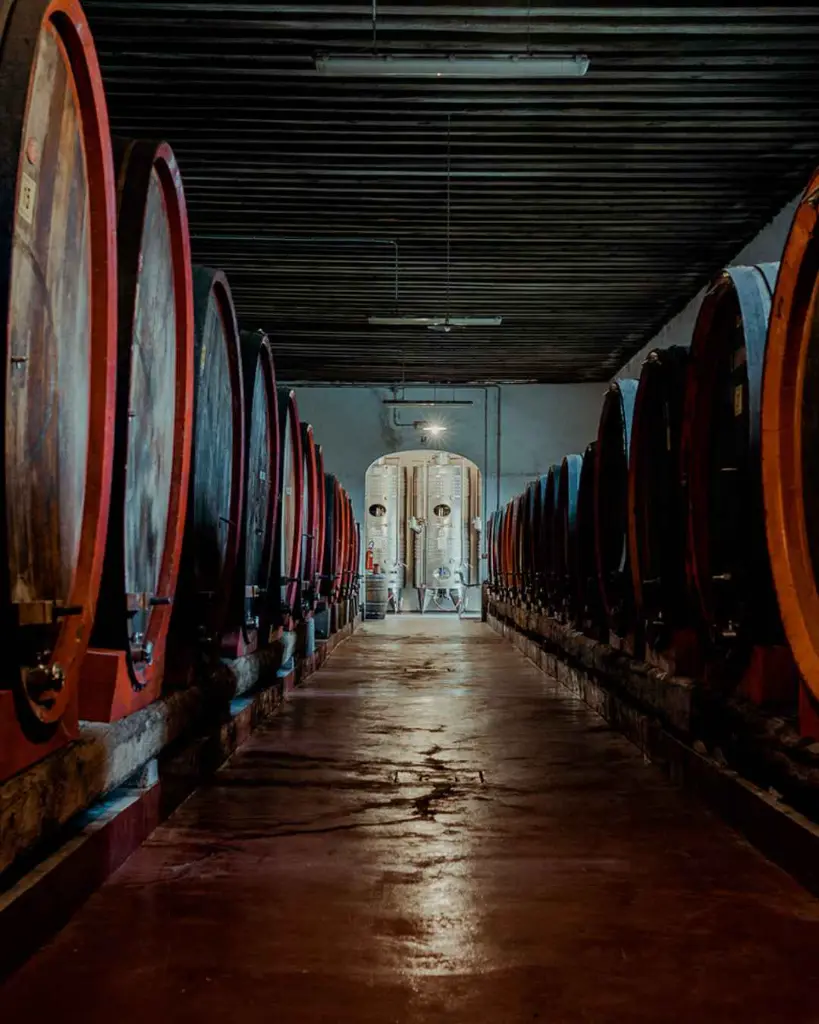 Rechsteiner Park, cellar.webp