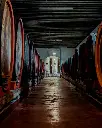 Rechsteiner Park, cellar.webp