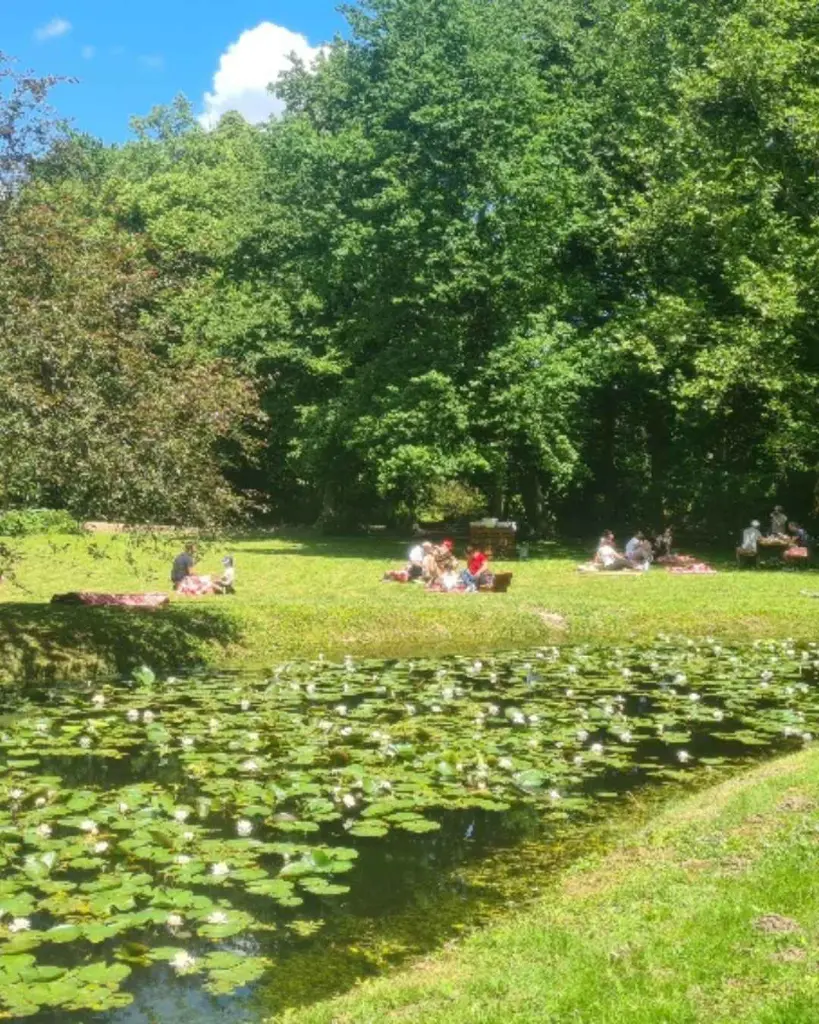 Rechsteiner Park, picnic.webp