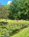 Rechsteiner Park, picnic.webp