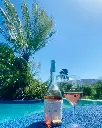 Lothian vineyards wine tasting.webp