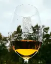 Lothian vineyards tasting.webp