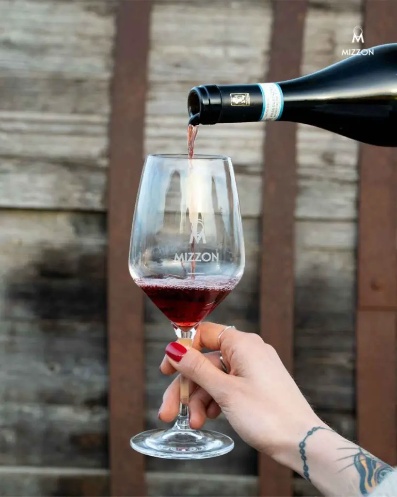 Azienda Agricola Mizzon, red wine tasting.webp