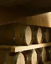 Azienda Agricola Mizzon, aging cellar.webp