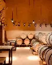 Gorgo winery, cellar.webp