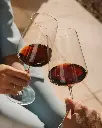 Ca’ Rugate, red wine tasting.webp