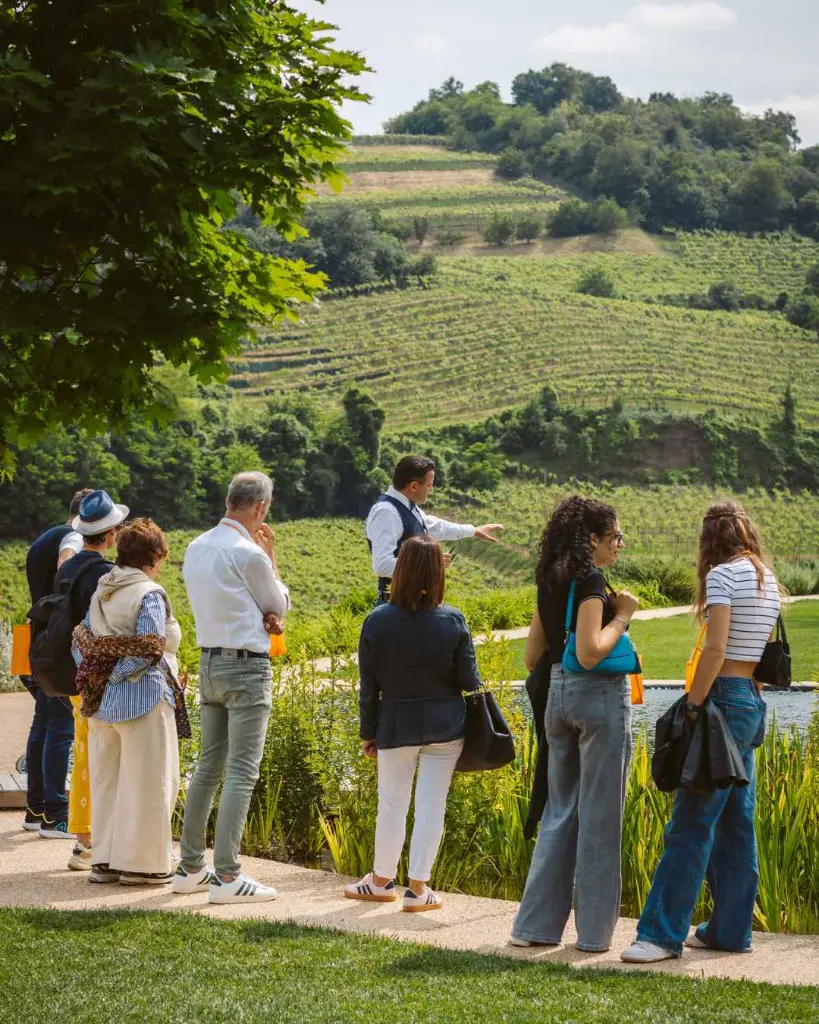 Ca’ Rugate, vineyards visit.webp