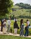 Ca’ Rugate, vineyards visit.webp