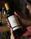 Cantina Goretti, Grechetto wine.webp