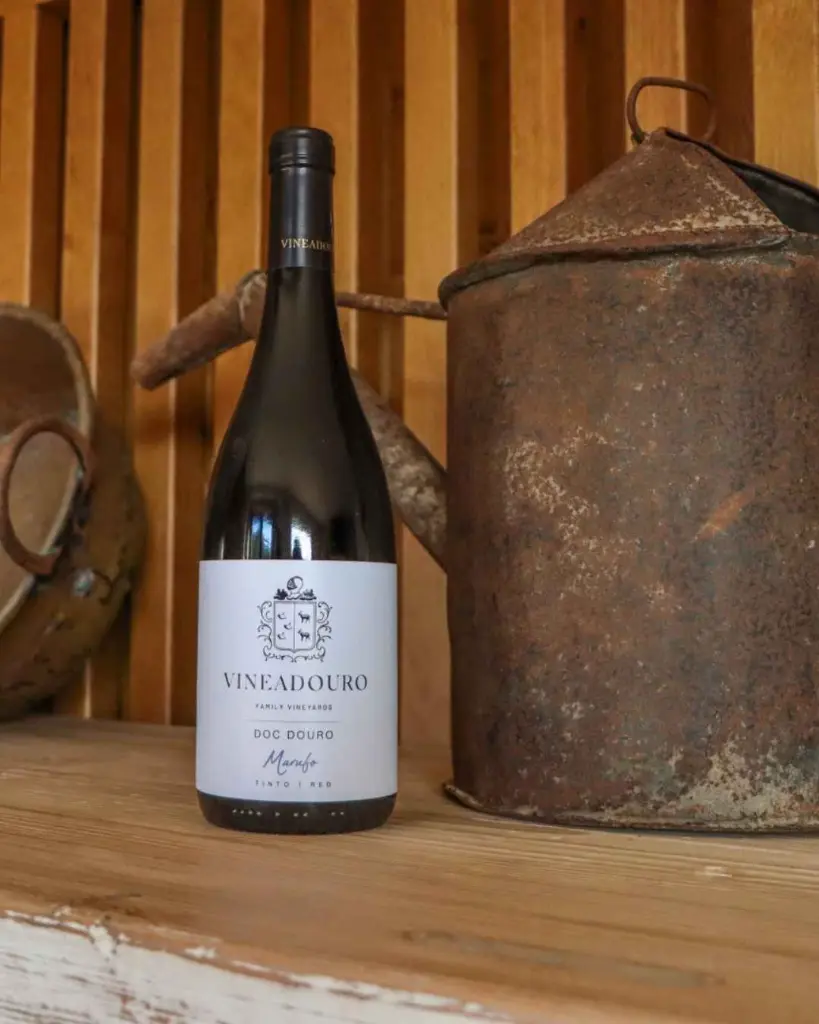 Quinta da Vineadouro experience.webp