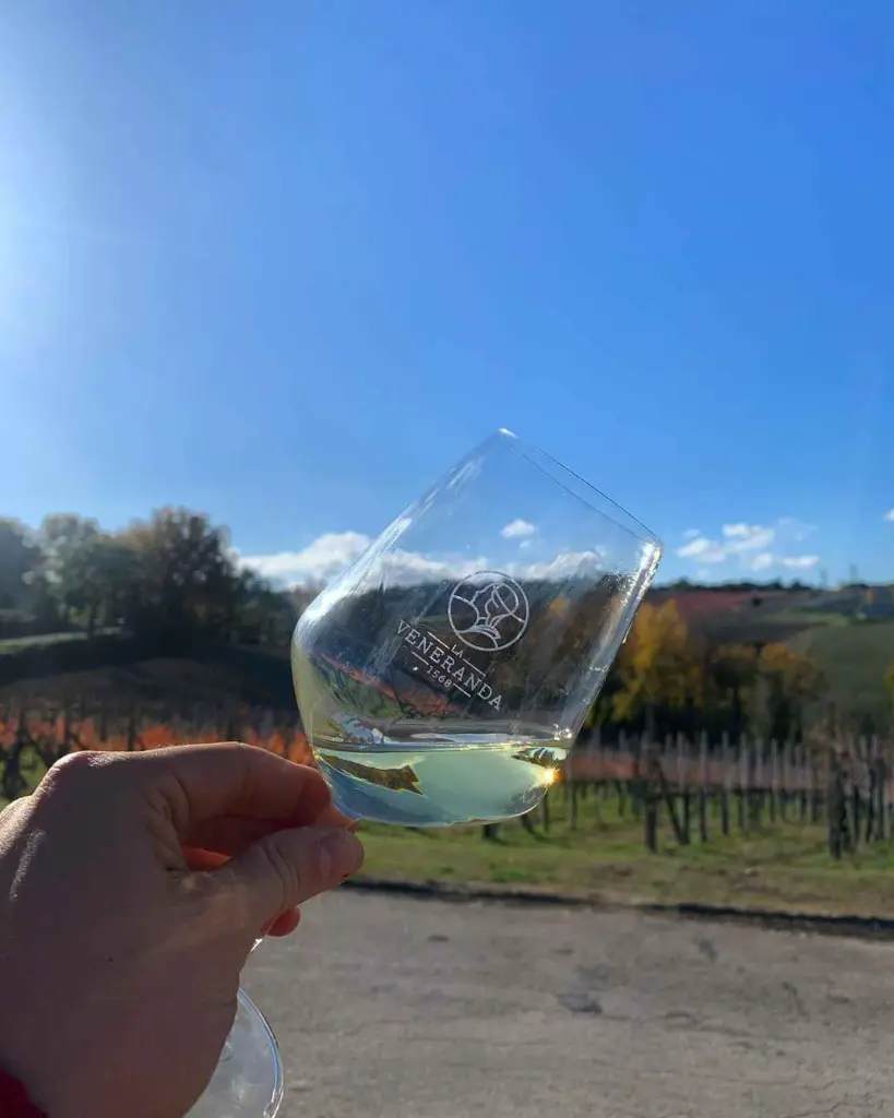 La Veneranda, white wines tasting.webp