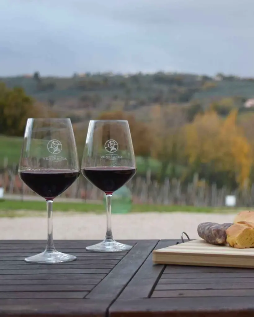La Veneranda, red wine tasting.webp