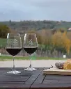 La Veneranda, red wine tasting.webp