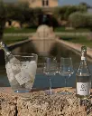Principi di Butera wine tasting.webp