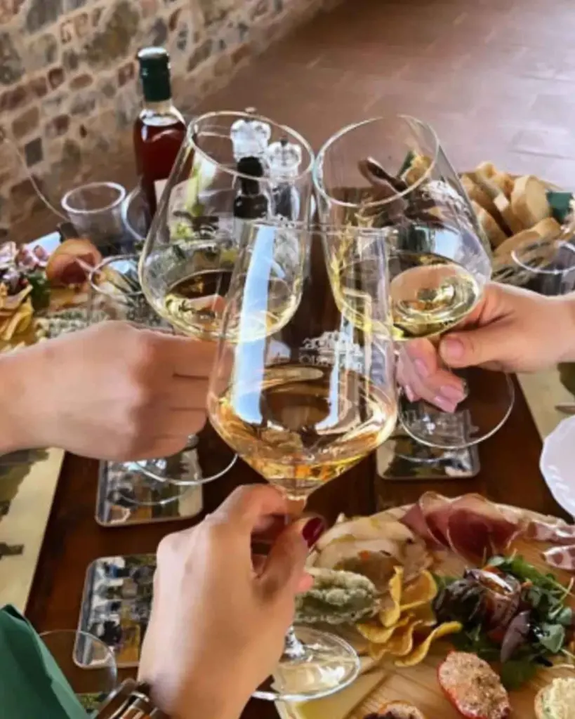 Pomario, wine tasting and brunch.webp