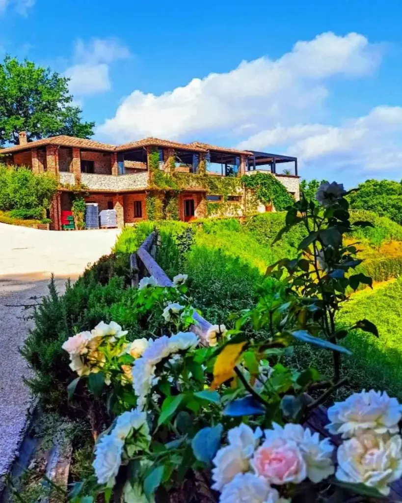 Pomario winery.webp