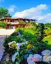 Pomario winery.webp