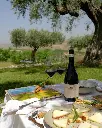Principi Di Butera taste of Sicily.webp