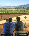 Perticaia Winery, panoramic view.webp