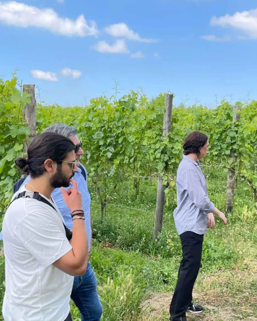 Cantine Astroni, vineyard tour.webp