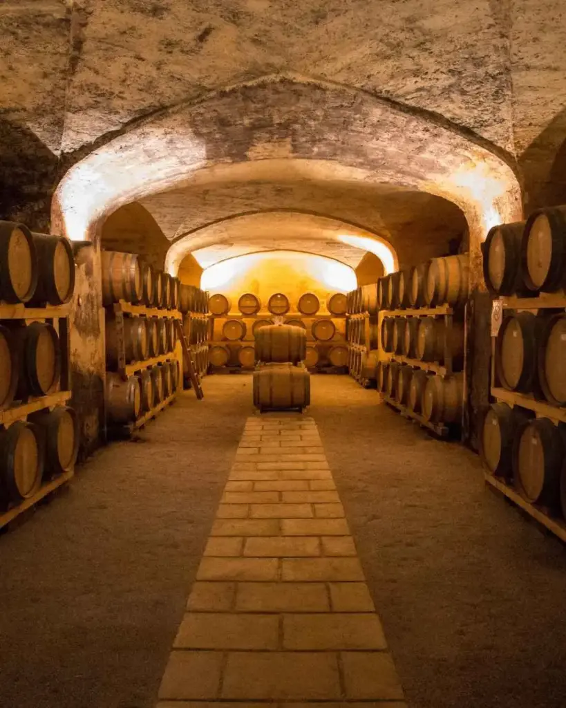 Castel di Salve, cellar visit.webp