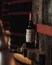 Marqués de Murrieta   visit and tasting 3 wines.webp