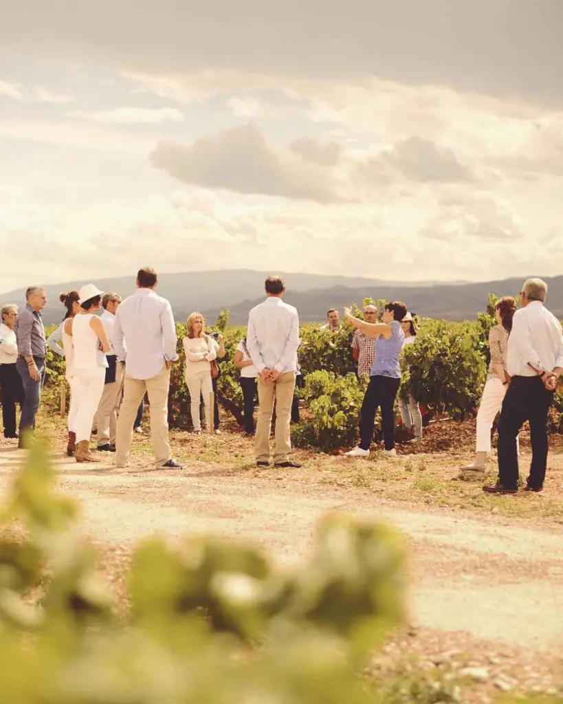 Marqués de Murrieta  estate visit.webp
