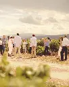 Marqués de Murrieta  estate visit.webp