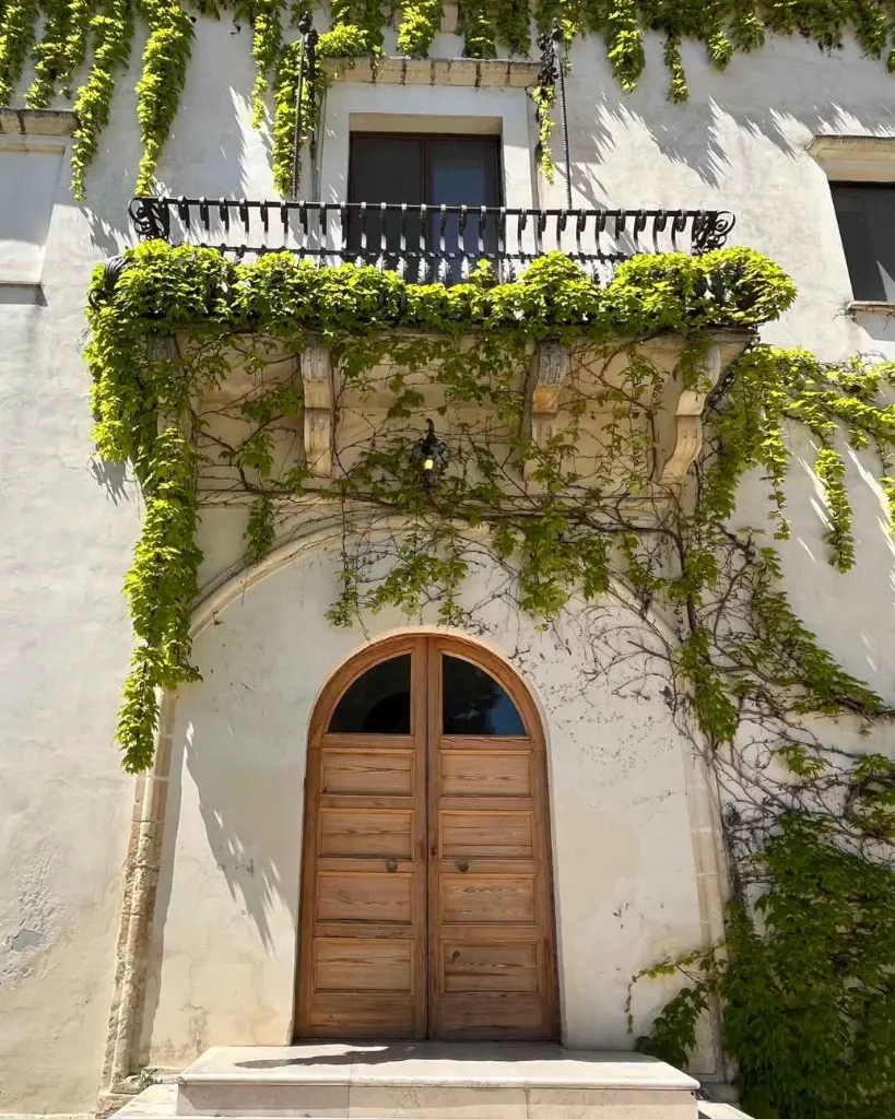 Vetrere, organic winery.webp