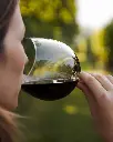 Vetrere, wine tasting.webp
