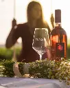 Vetrère, tasting in the garden.webp