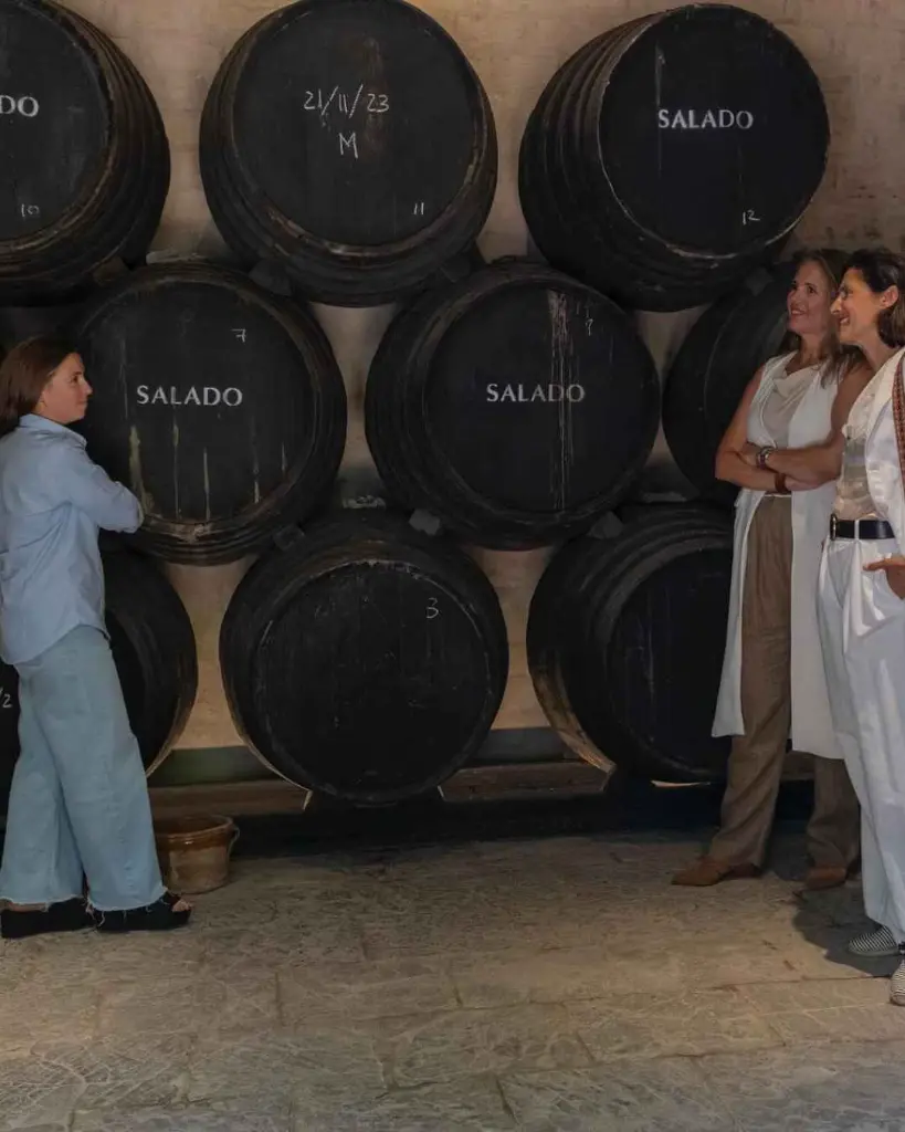 Bodegas Salado, cellar visit.webp