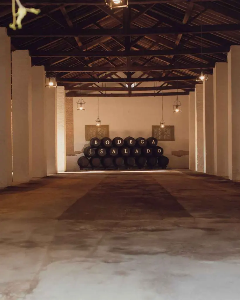 Bodegas Salado, winery visit.webp