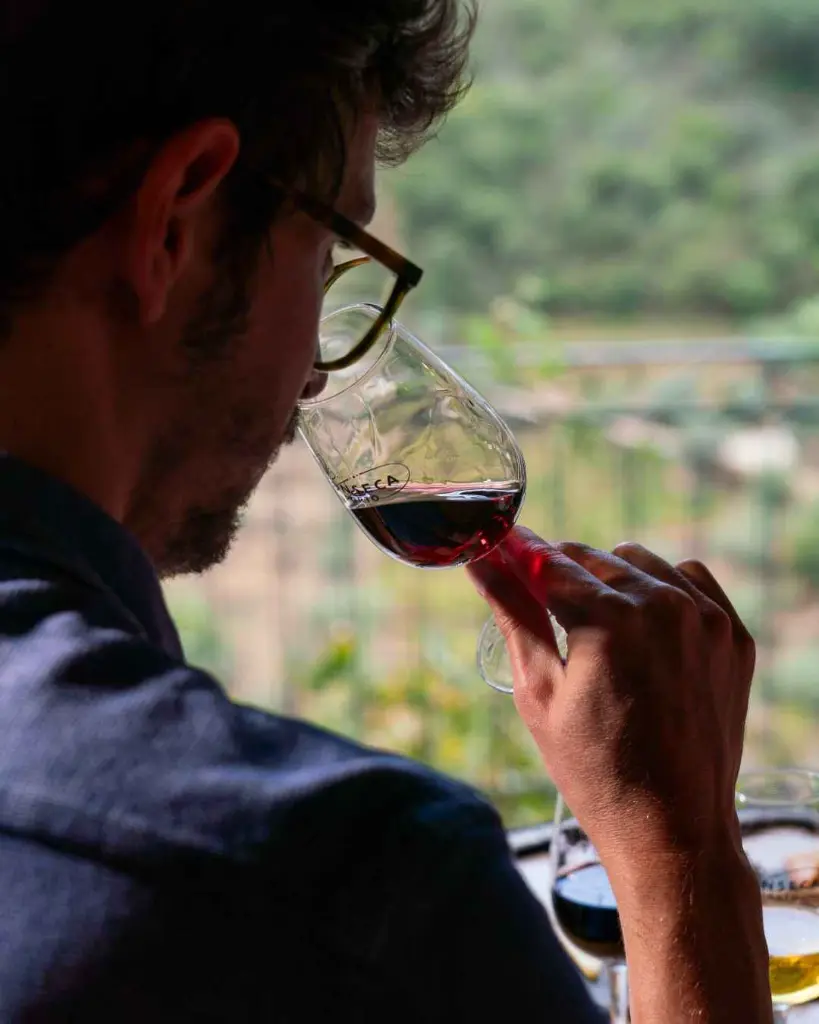 Fonseca wine ccellars tasting experience.webp
