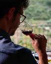 Fonseca wine ccellars tasting experience.webp