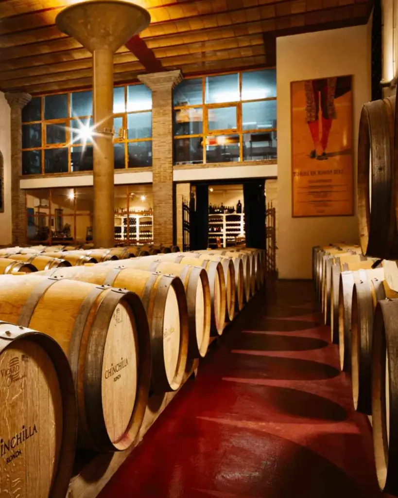 Bodega Doña Felisa, winery visit.webp