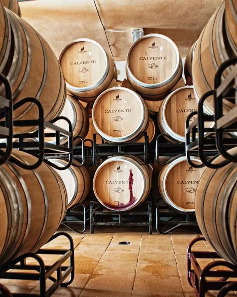 Bodegas Calvente, winery visit.webp