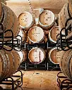 Bodegas Calvente, winery visit.webp